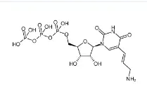 CAS號：112131-73-4，Aminoallyl-UTP，氨基烯丙基尿苷三磷酸