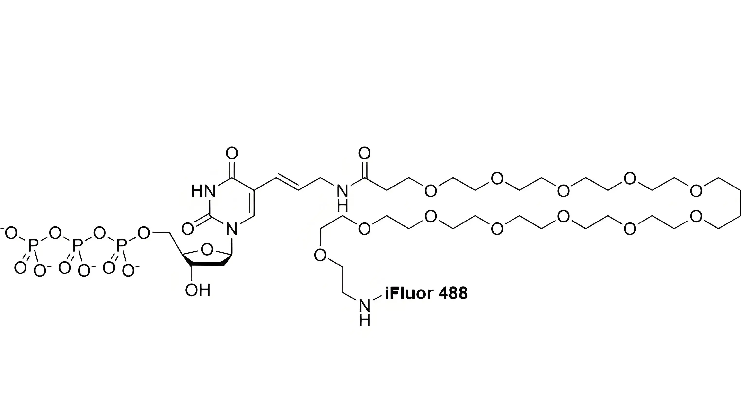 iFluor488-PEG12-dUTP，iFluor488-十二聚乙二醇-脫氧尿苷三磷酸在反應(yīng)體系中的溶解穩(wěn)定性解析