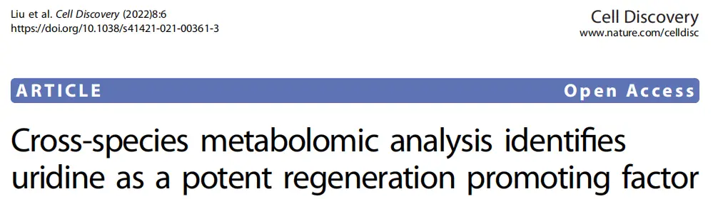小動物跑步機|跨物種代謝組學(xué)分析揭示尿苷是強大的促進再生因子