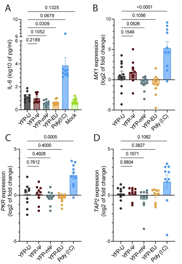 5-乙炔基尿苷：一種具有生物正交標記潛力的mRNA治療用核苷類似物