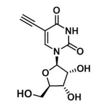 5-Ethynyluridine，5-EU，69075-42-9，核心結(jié)構(gòu)特點(diǎn)是在尿苷的5位碳上引入了一個(gè)乙炔基
